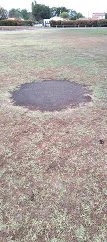 L'aire de lancer du poids au milieu de la pelouse : une plaque de terre nue à peu près circulaire, sans butoir ni cage — Complexe Sportif Gauvrit, Sainte-Pazanne
